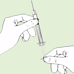 Diabetes mellitus 1. typu